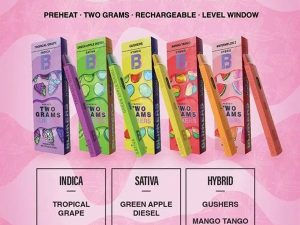 Blinker 2G Fruits Disposable