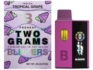 2G LED Fruits Disposable